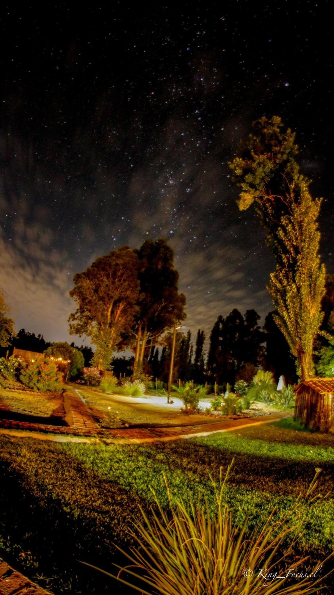 Hotel Boutique Raices De Colchagua Санта-Крус Экстерьер фото